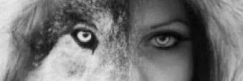claramof's profile banner image
