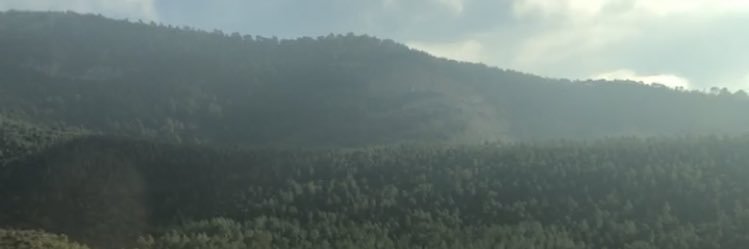 ZiyadUm's profile banner image