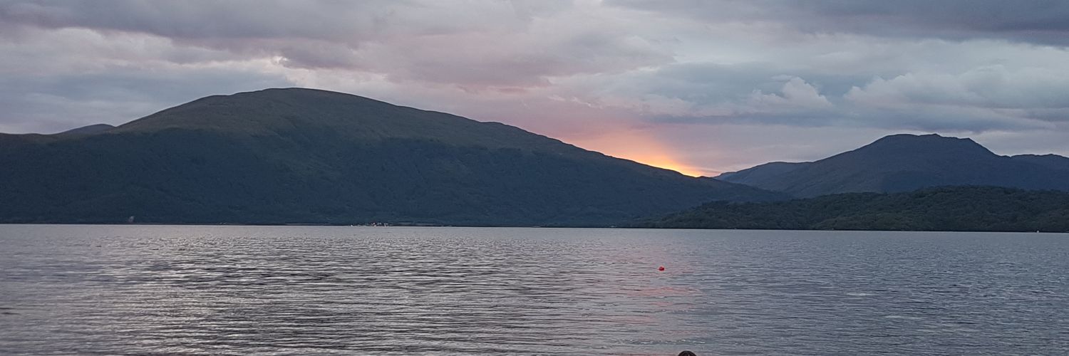 Elisa banner