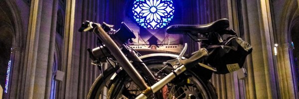 chendaniely Profile Banner
