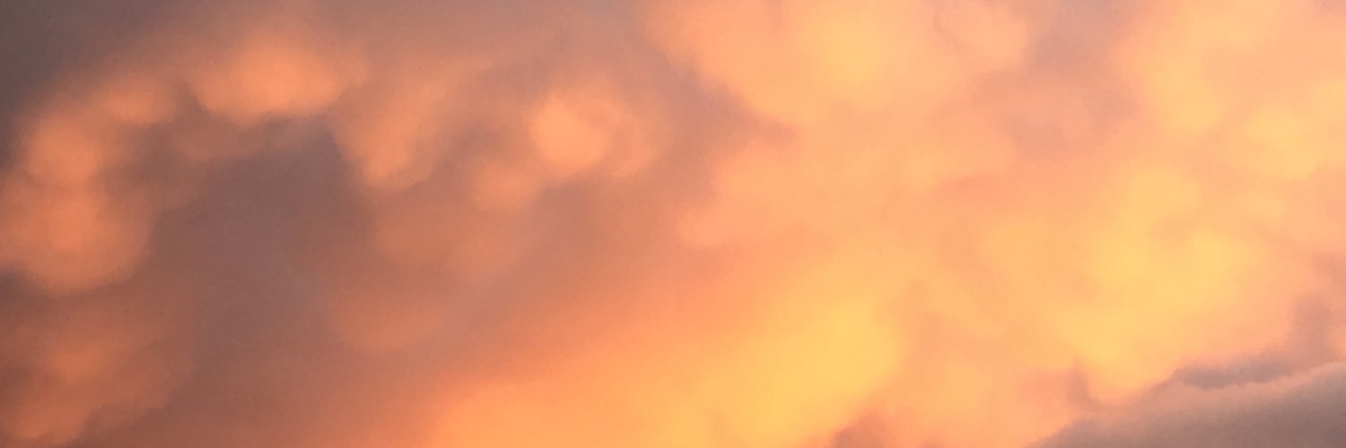 mlynn998's profile banner image