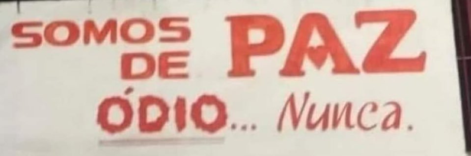 bibizona banner