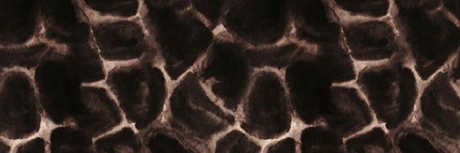 Chianne_22's profile banner image