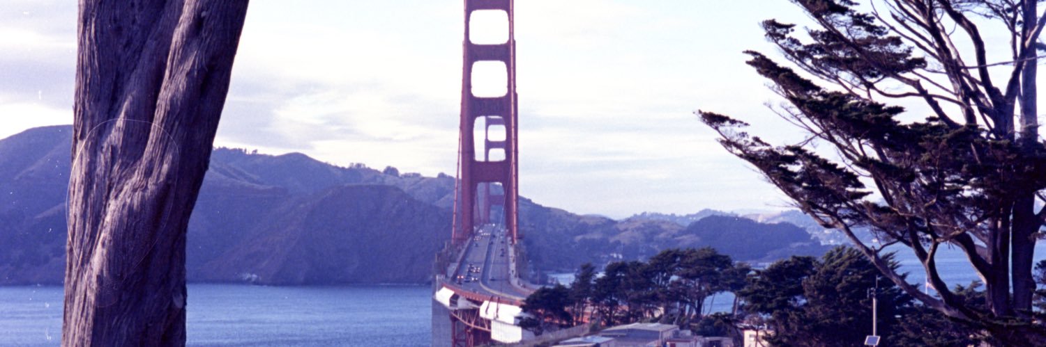 JRequenaFranco's profile banner image