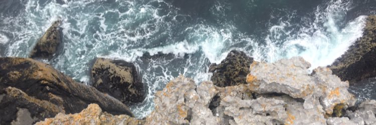 sydneybeaty's profile banner image