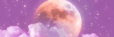 Tinyrosegoddess's profile banner image