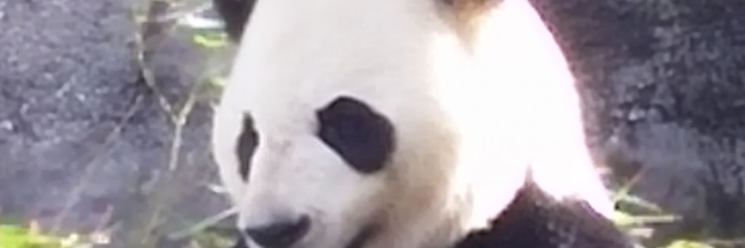 DWalkdmc01's profile banner image