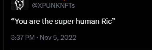 chunkric Profile Banner