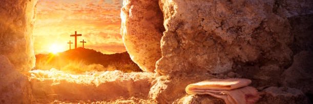 ze_elz's profile banner image