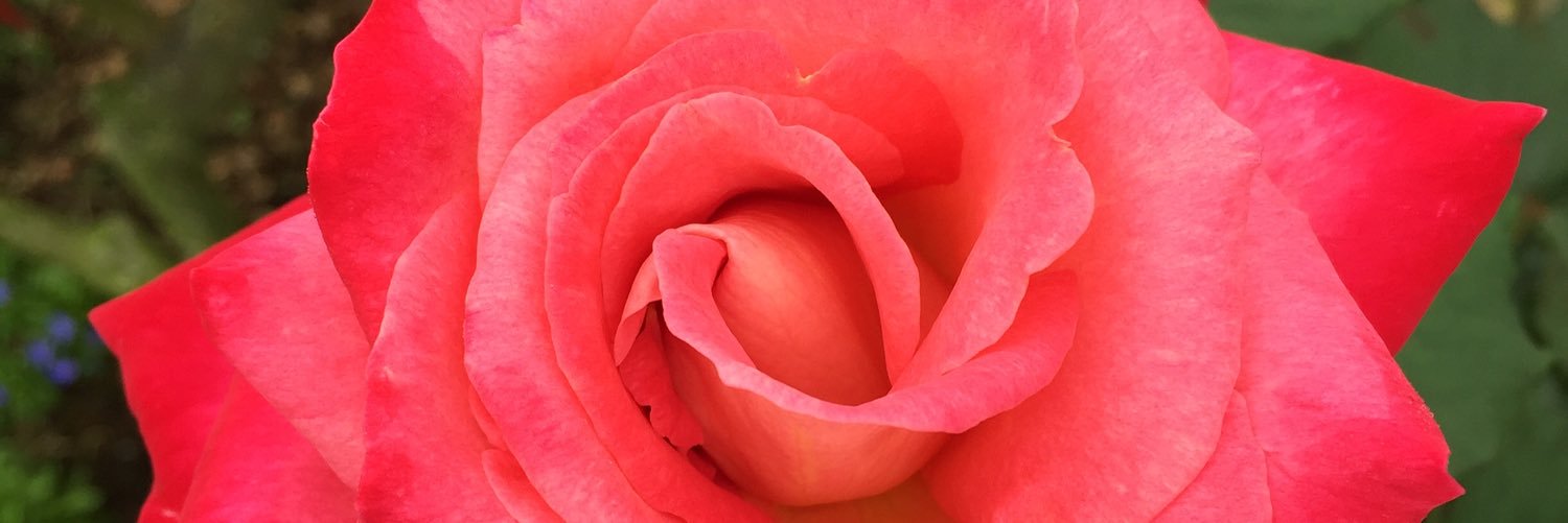 MarlyWinckler's profile banner image