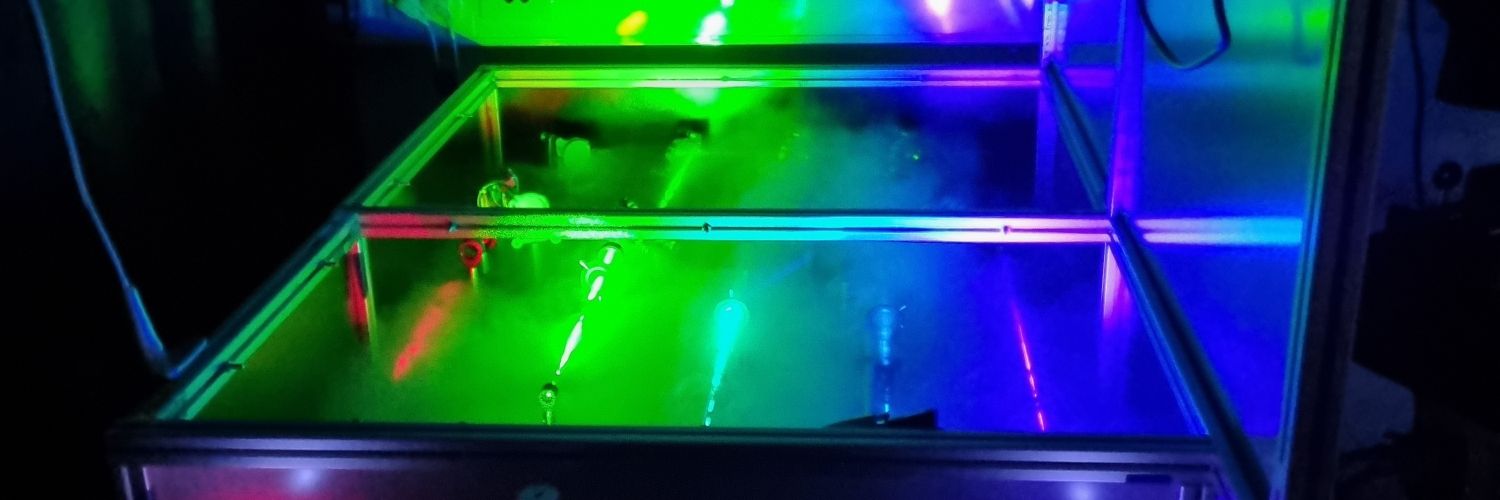 EliseWilk's profile banner image
