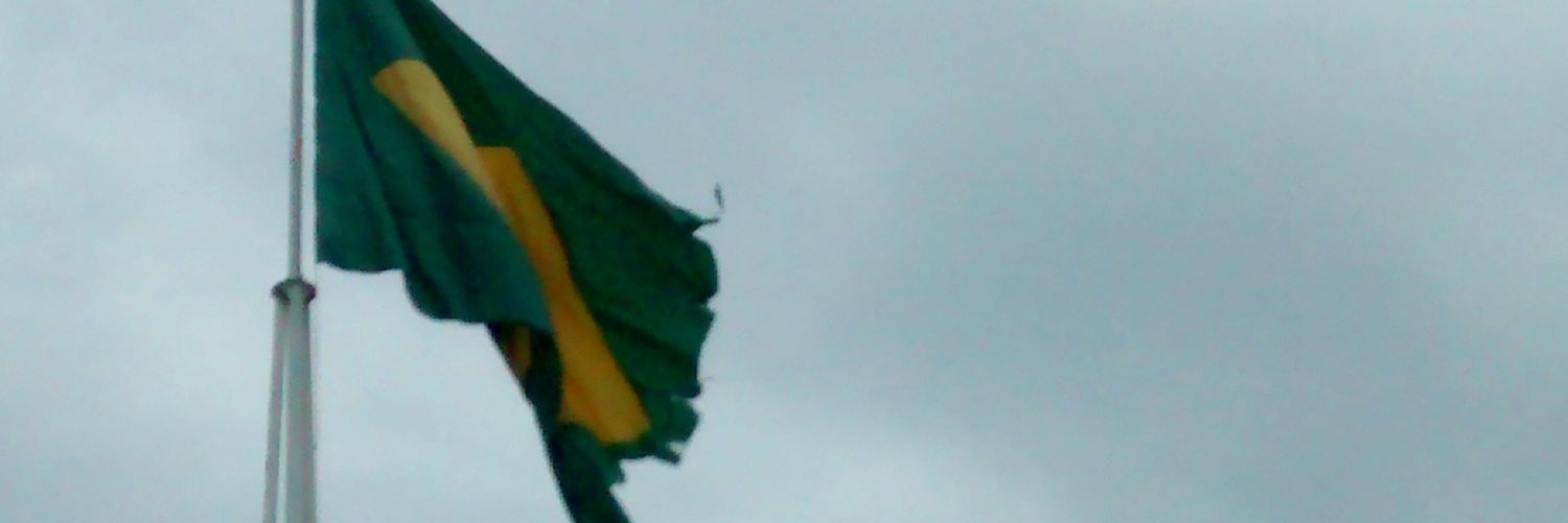 sandrobarbosa's profile banner image