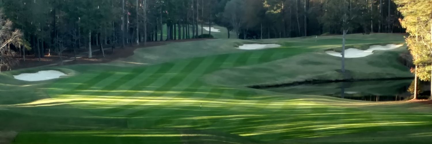 Rick ♥️ 🇺🇸 🗽✈️ 🐧🐧 banner