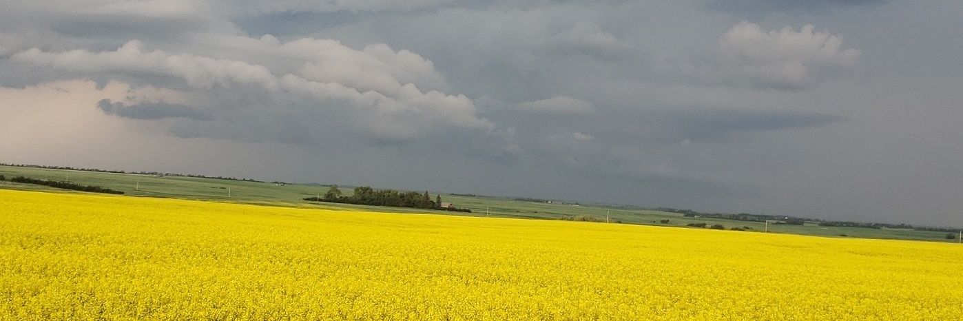 CodieNagy's profile banner image