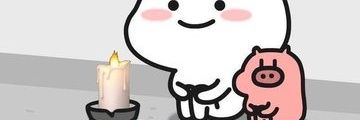floraisonVie's profile banner image