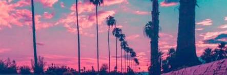 apemeyer's profile banner image