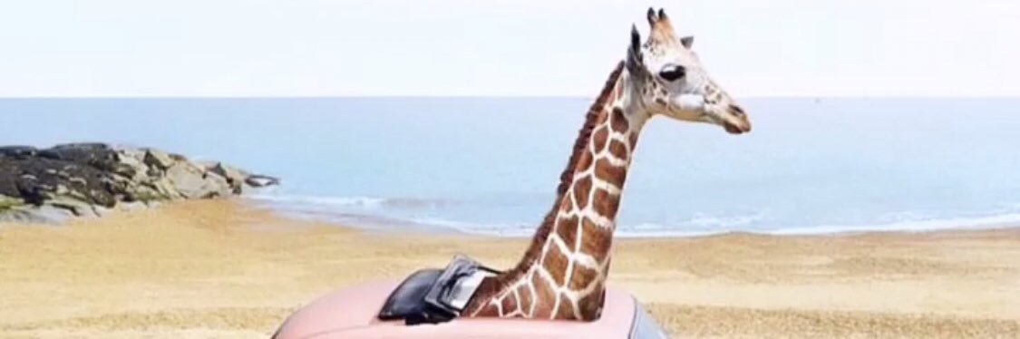 Uhmanduh_S's profile banner image