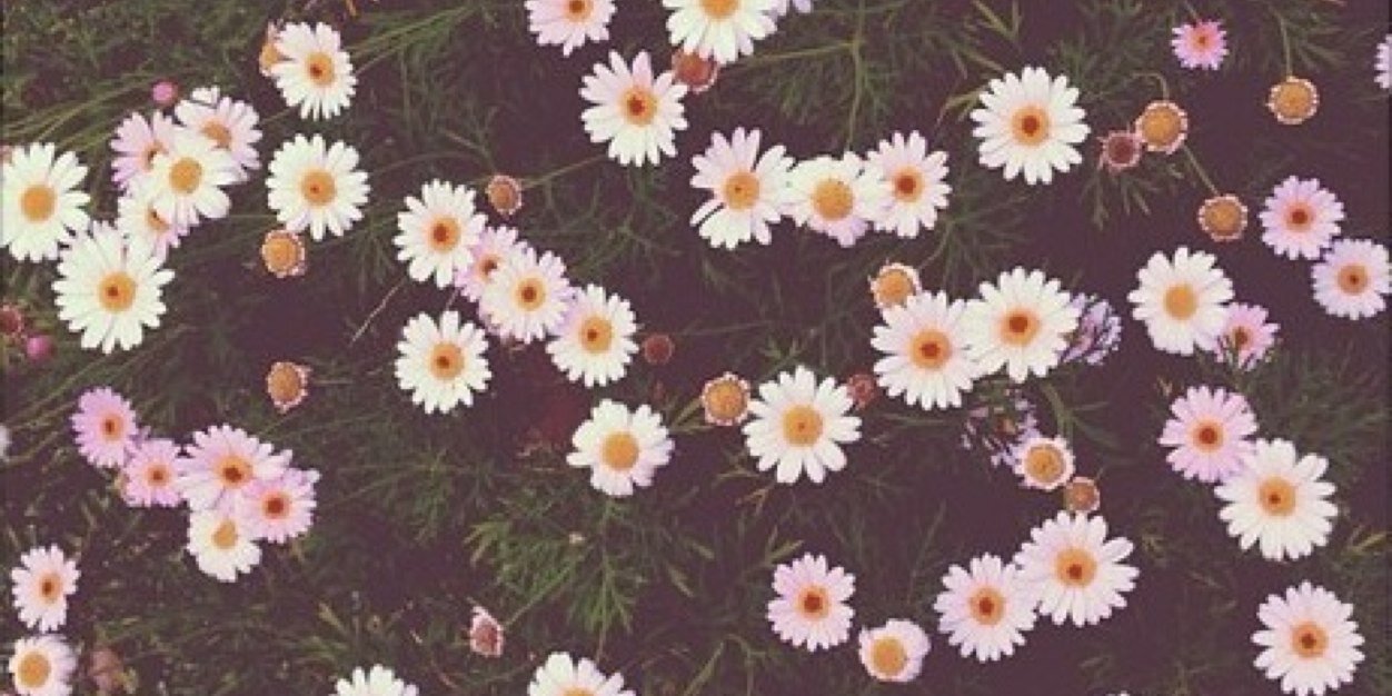 Jemmaa3's profile banner image