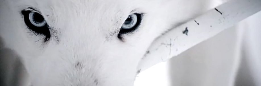 ShaifulZr's profile banner image