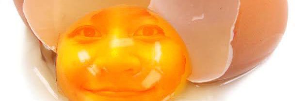 sekarh's profile banner image