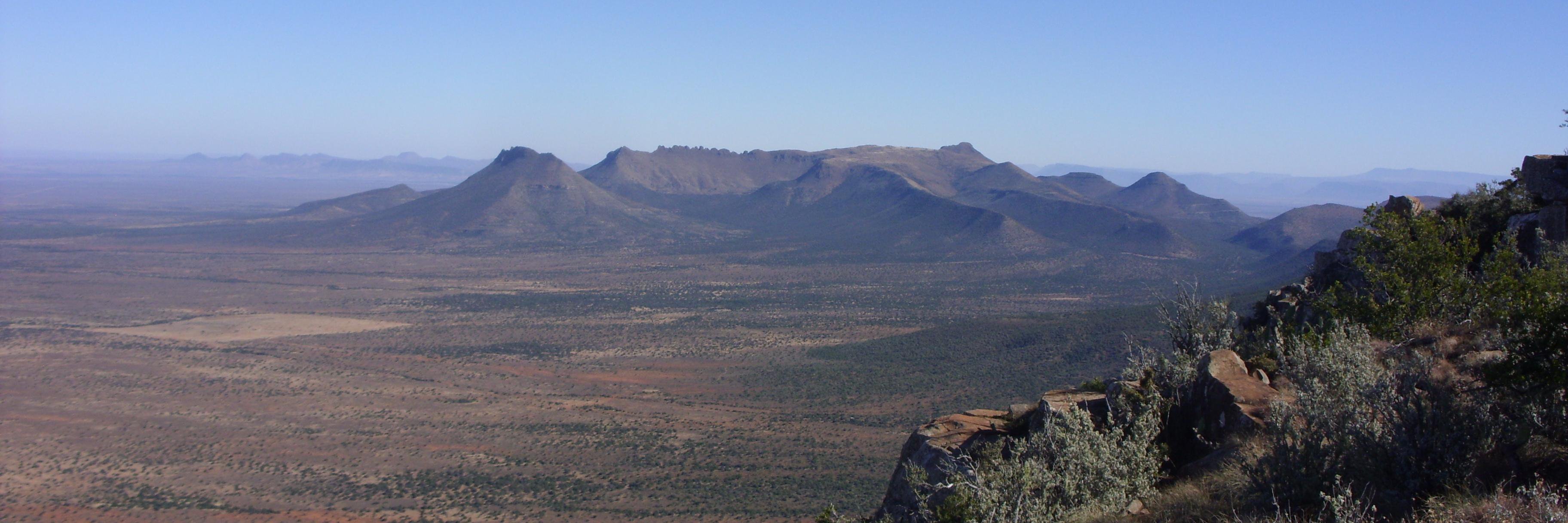 Hayley Clements banner