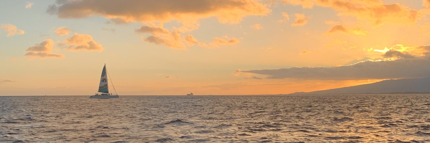 Reisabove's profile banner image