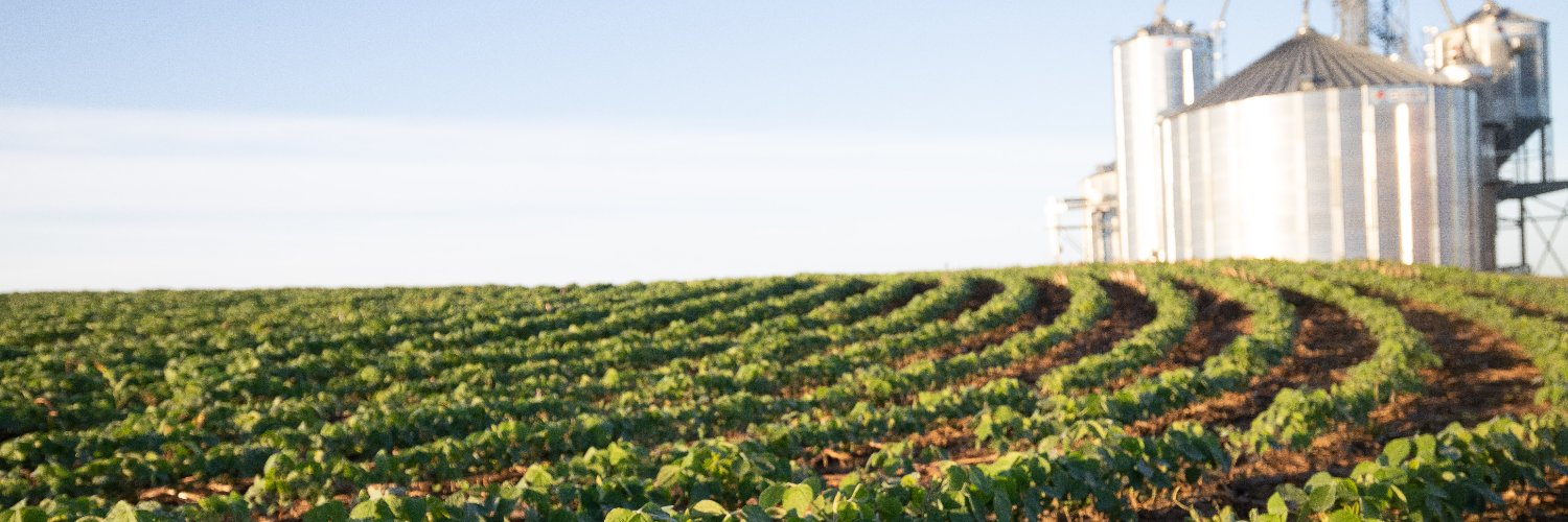 Kansas Soybean's banner
