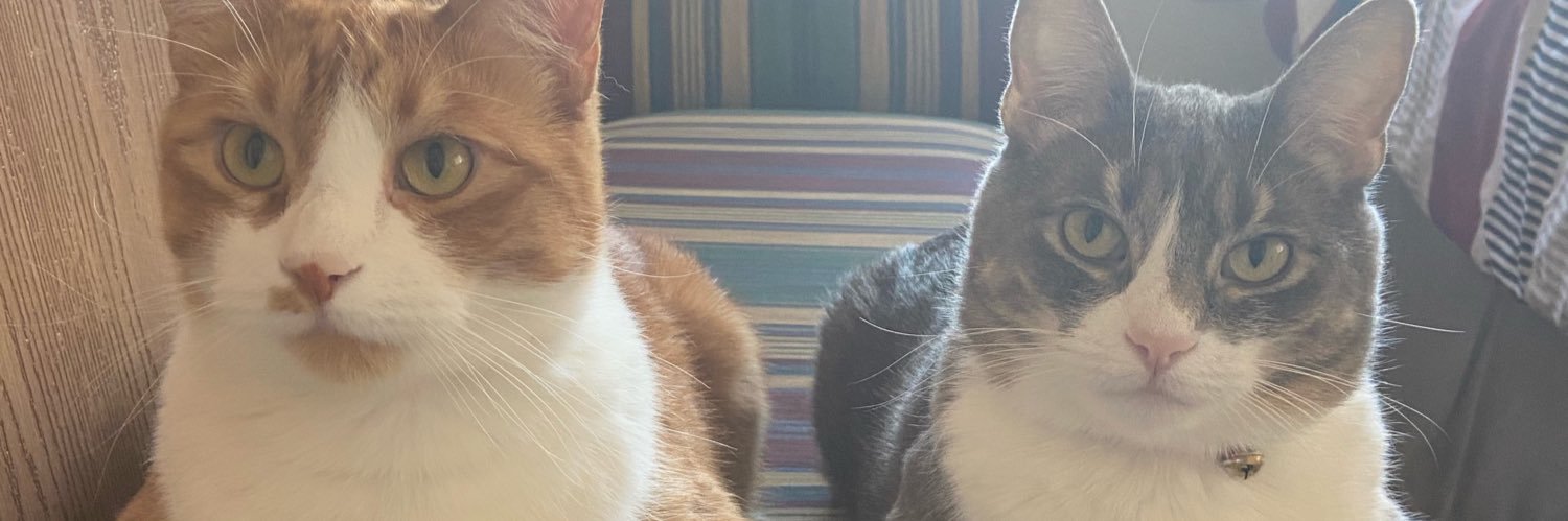 jdb1ake's profile banner image