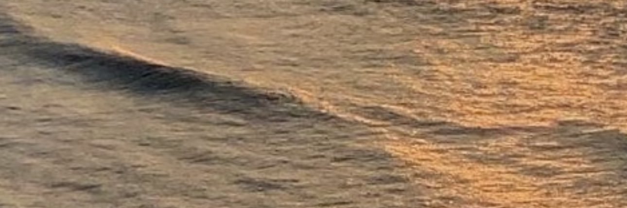 🫶🏻 banner