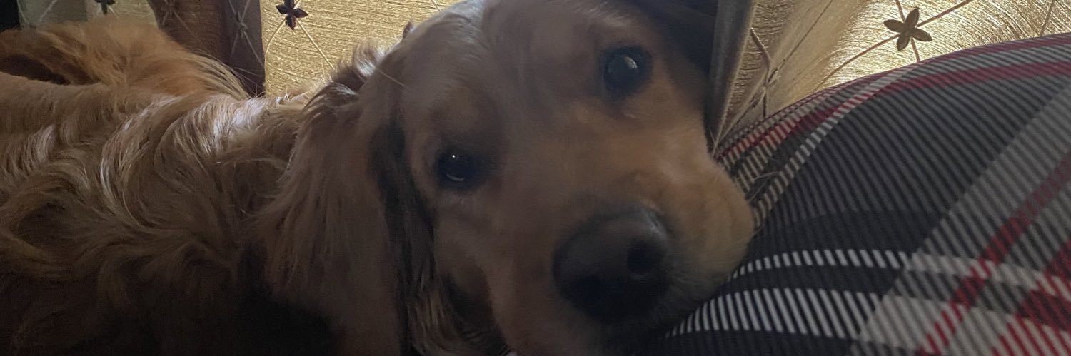 pyktel's profile banner image