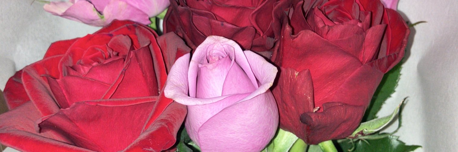 mi_ASRAN's profile banner image