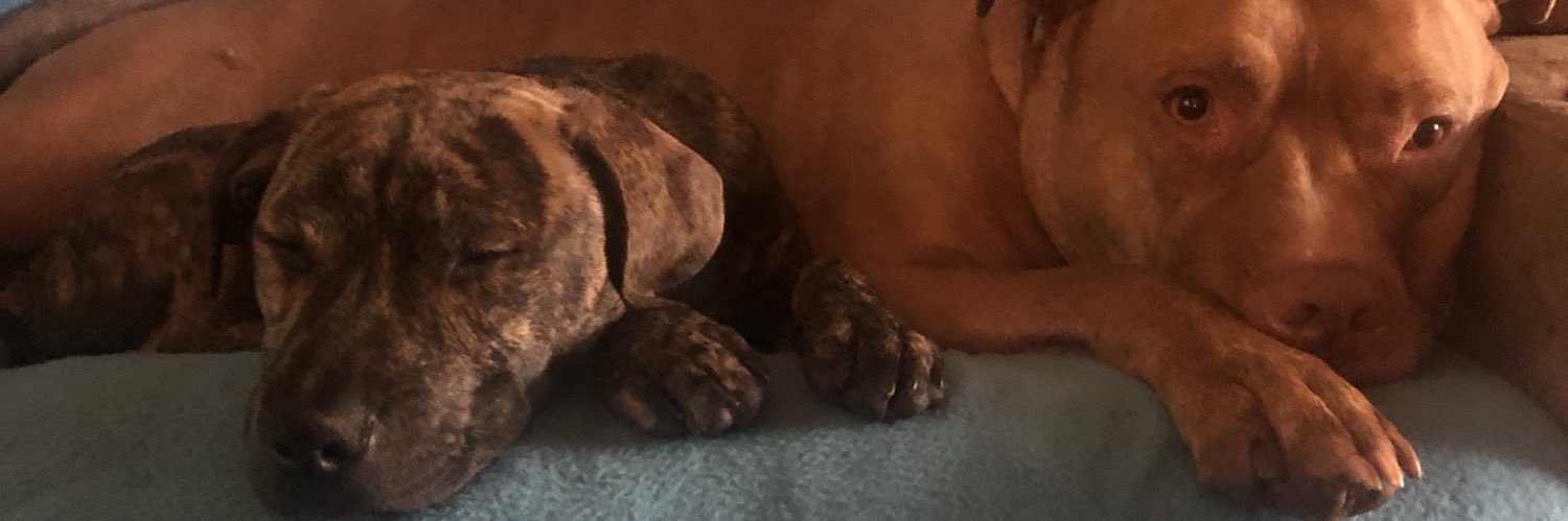 ChadPrenatt's profile banner image