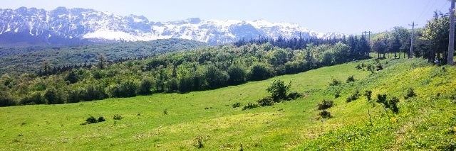 martinfourc's profile banner image