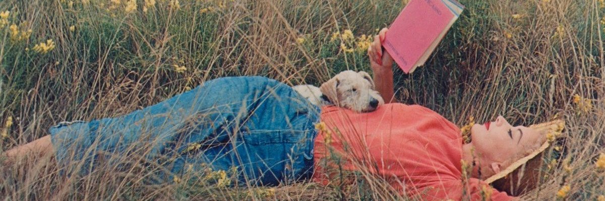 Virginie Pronovost banner