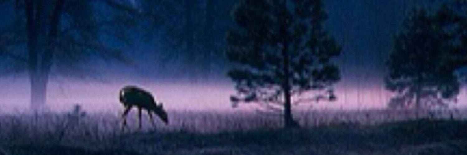 lamby_ghini's profile banner image