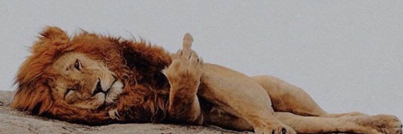 MrFocused21's profile banner image