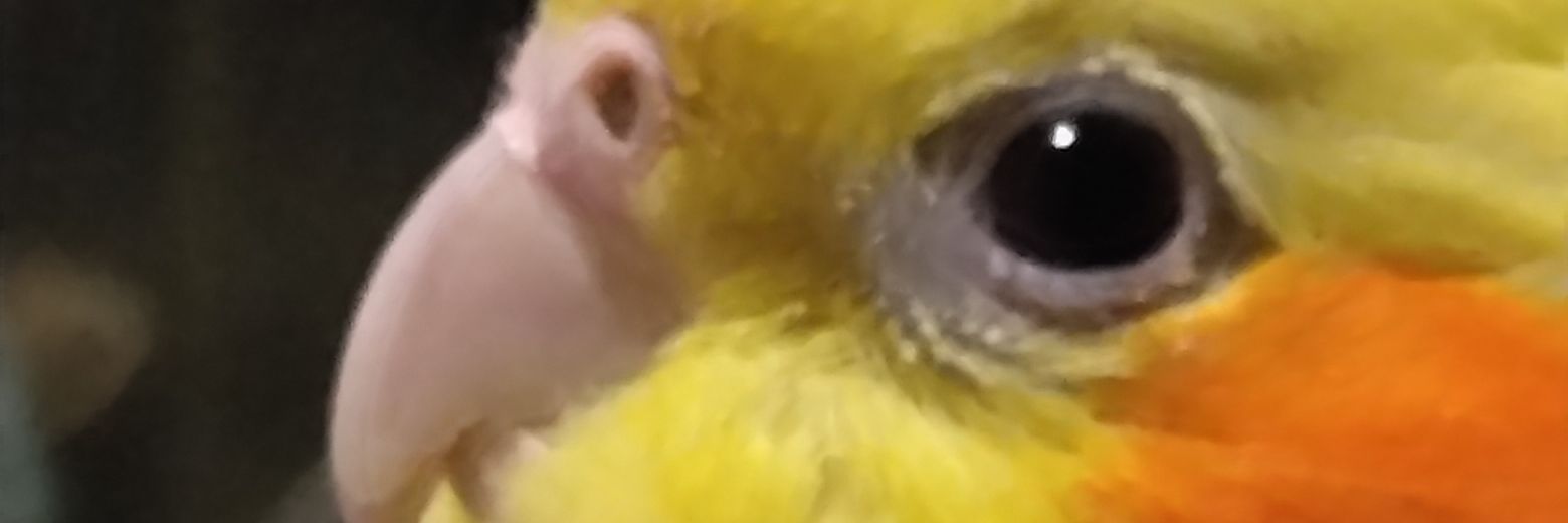 c26795017's profile banner image
