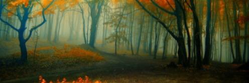 Rebitcha_M's profile banner image