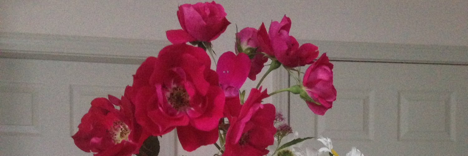 shenry555's profile banner image