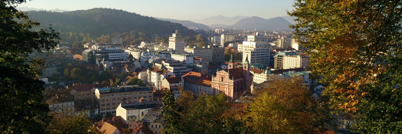vidlibnik's profile banner image