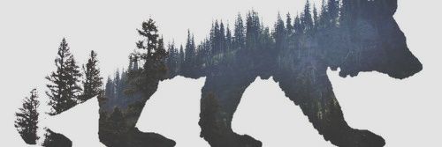 MichaelCirka's profile banner image