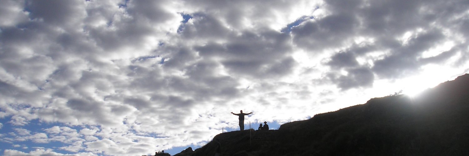 VeraMardones's profile banner image