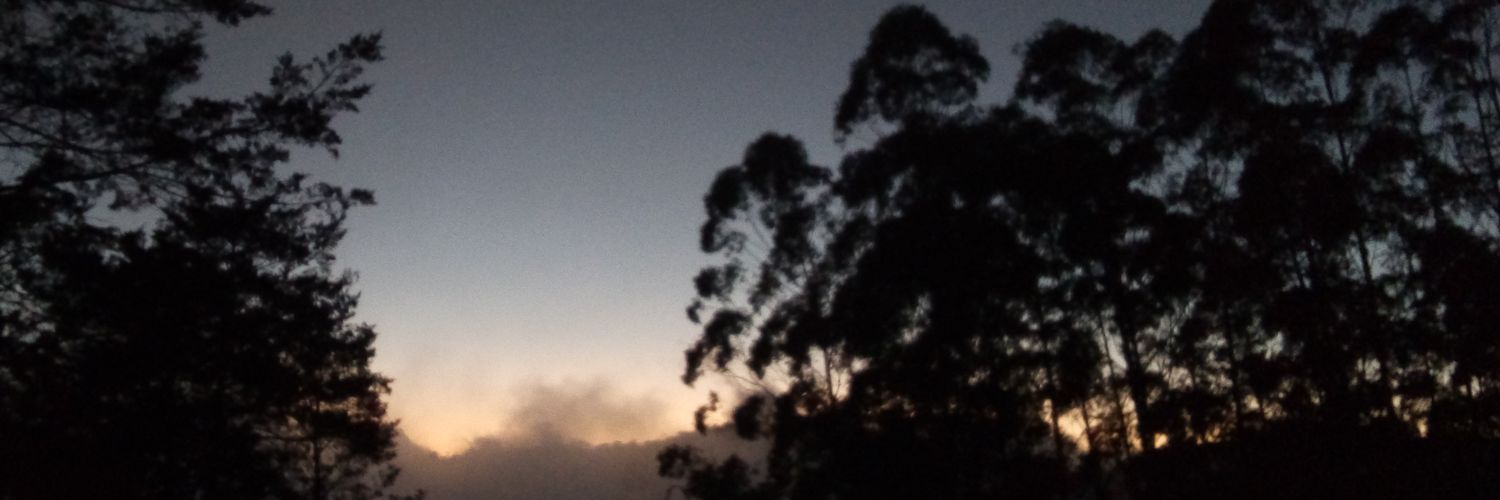 genava's profile banner image