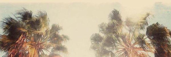 DS_Wallace Profile Banner