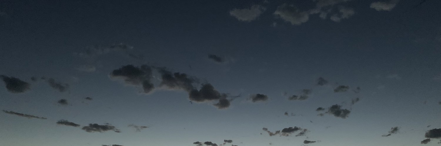 baharehdanesh's profile banner image