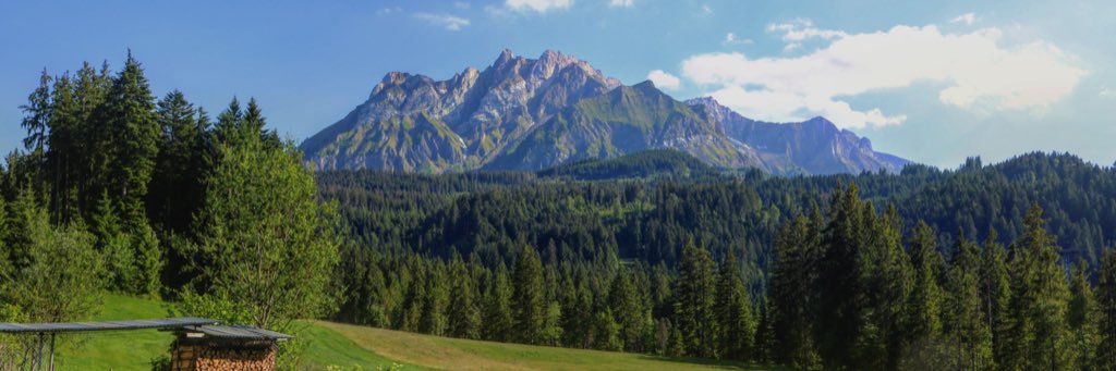 _Nancy14's profile banner image