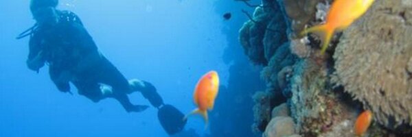 PropertyMermaid Profile Banner