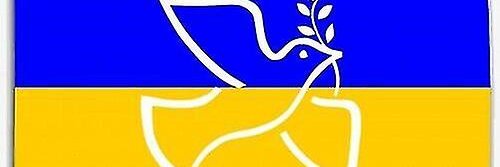 psiloyenisa's profile banner image