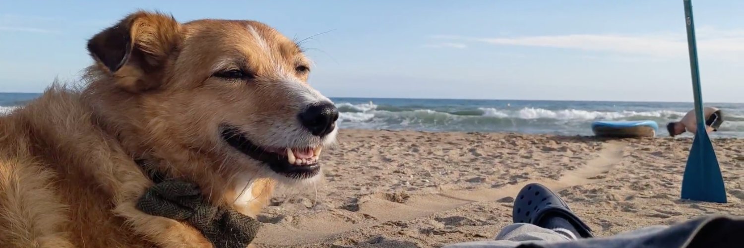 HELPING HOUND // UD.AI // 🐉☁️☁️ banner