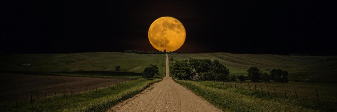 CryptoReset's profile banner image